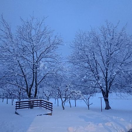 Apartman Plum Plitvice Drežnik Grad Exteriér fotografie