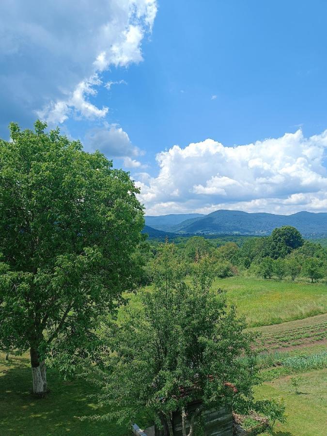 Apartman Plum Plitvice Drežnik Grad Exteriér fotografie