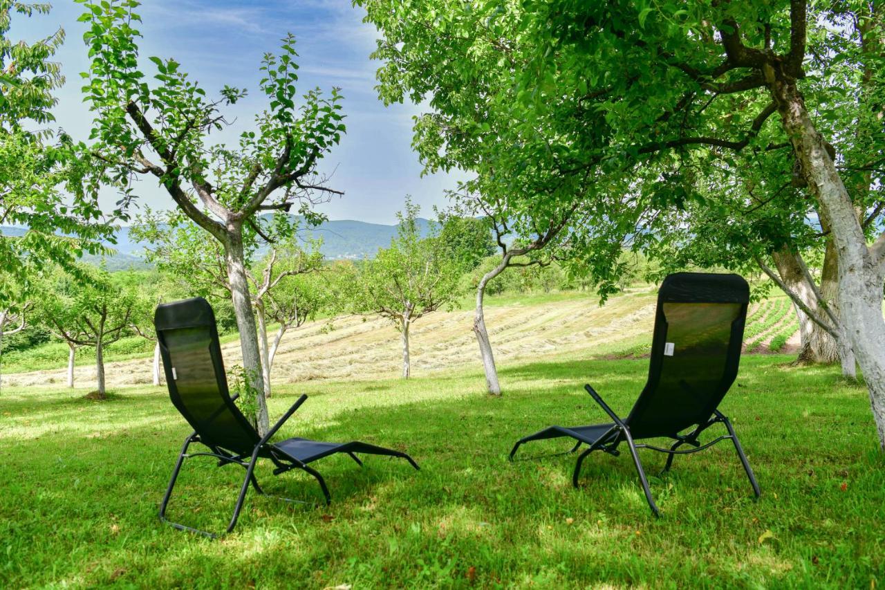 Apartman Plum Plitvice Drežnik Grad Exteriér fotografie